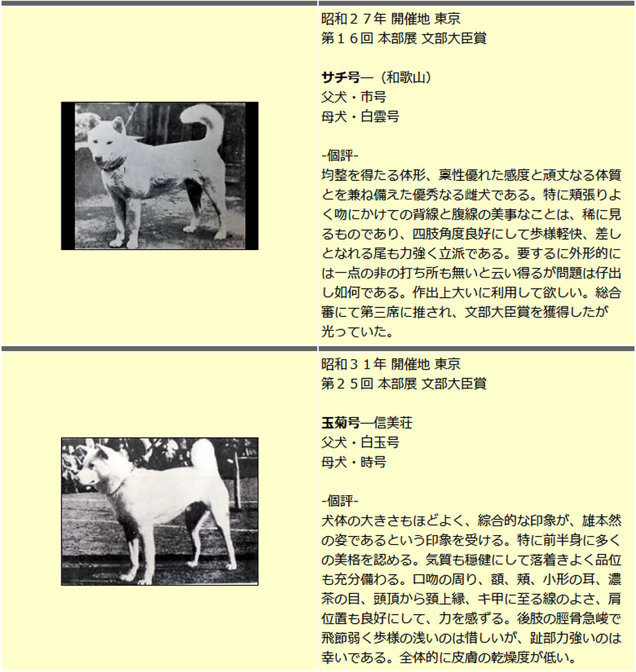 日本犬保存会全国展02